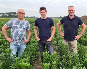Henk, Loek, Evert 